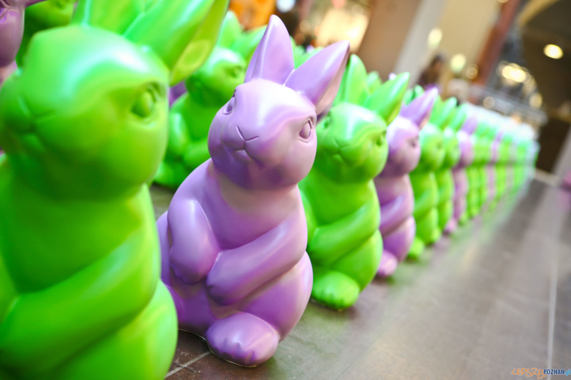 Zające Starego Browaru 2010 Foto: Photoholic Studio - Zające Starego Browaru 2010 Foto: Photoholic Studio -