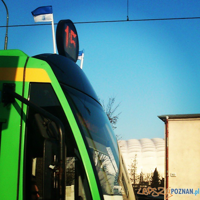 93 lata Lecha Poznań - bimba Foto: KKS Lech Poznań 93 lata Lecha Poznań - bimba Foto: KKS Lech Poznań