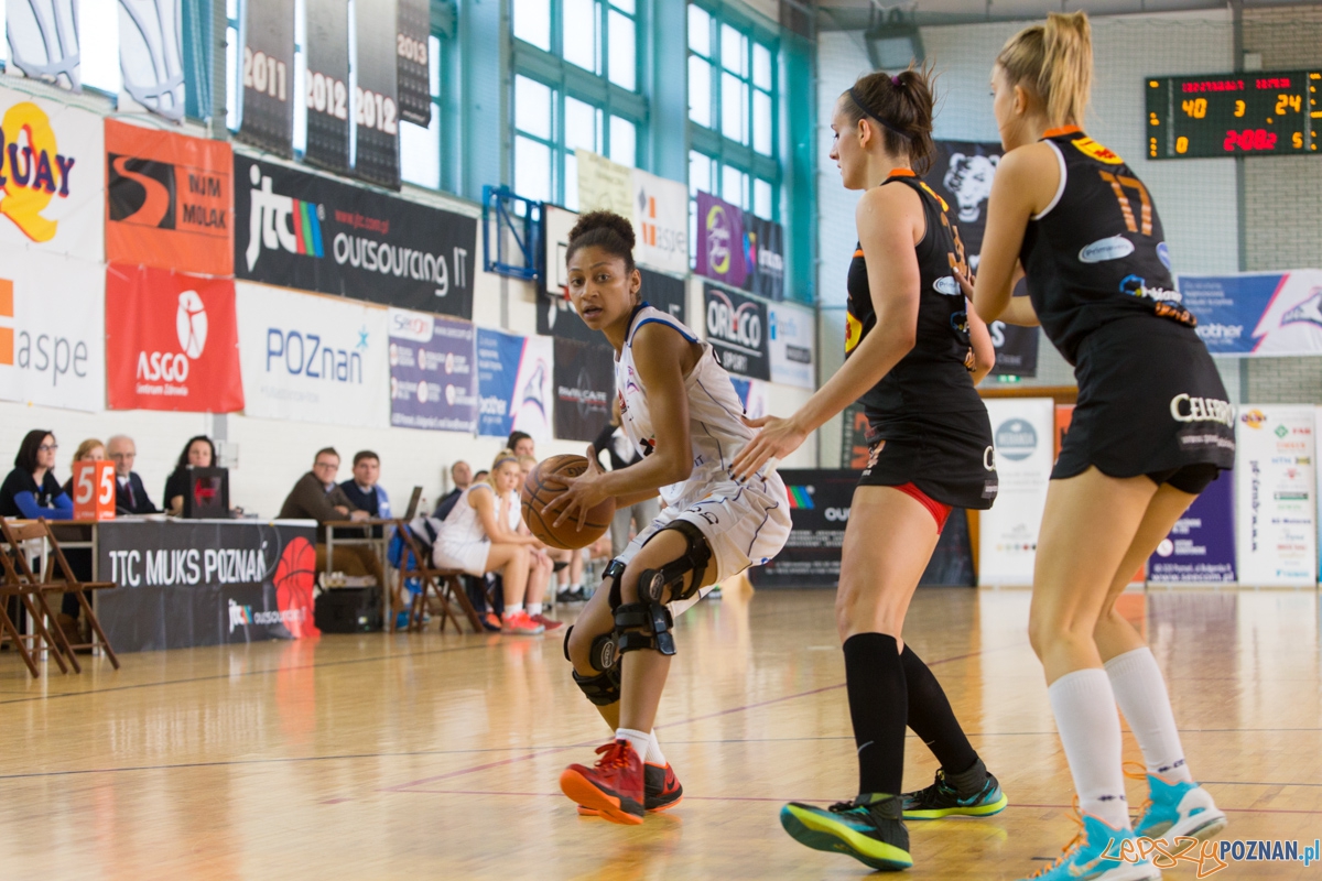 JTC Muks Poznań - Grot Dekorex Pabianice Foto: lepszyPOZNAN.pl / Piotr Rychter JTC Muks Poznań - Grot Dekorex Pabianice Foto: lepszyPOZNAN.pl / Piotr Rychter