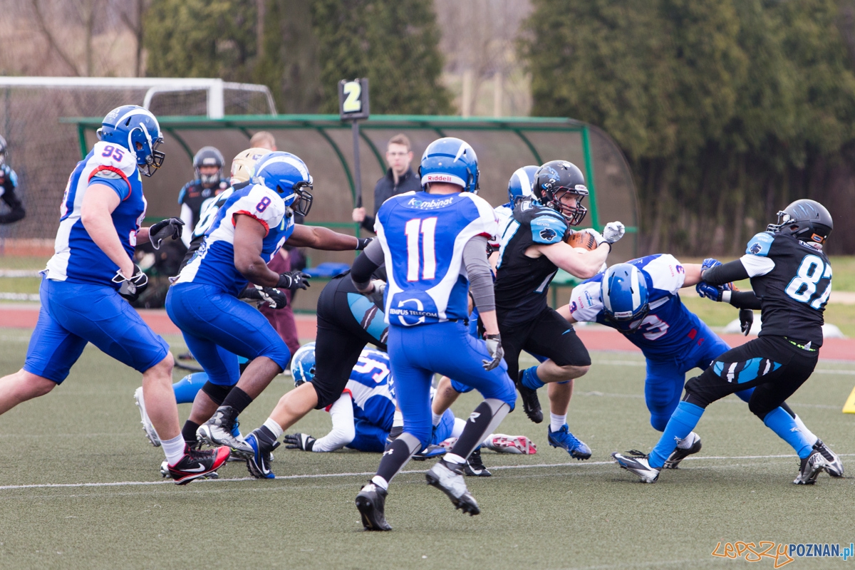 Kozły Poznań - Panthers Wrocław Foto: lepszyPOZNAN.pl / Piotr Rychter Kozły Poznań - Panthers Wrocław Foto: lepszyPOZNAN.pl / Piotr Rychter