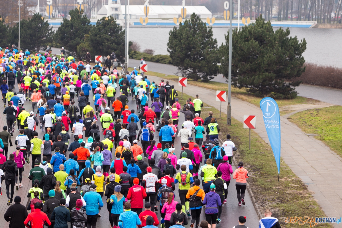 XI Maniacka dziesiątka Foto: lepszyPOZNAN.pl / Piotr Rychter XI Maniacka dziesiątka Foto: lepszyPOZNAN.pl / Piotr Rychter