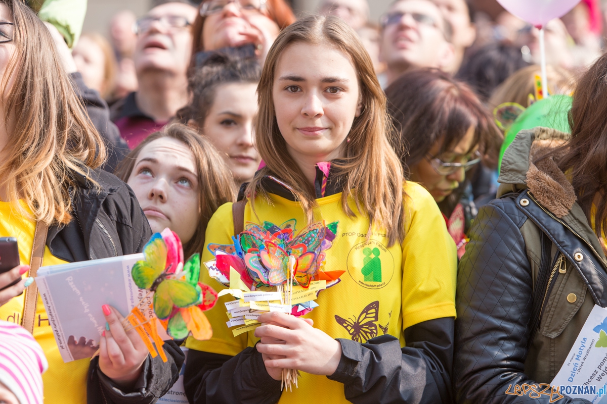 Dzień Motyli Foto: lepszyPOZNAN.pl / Piotr Rychter Dzień Motyli Foto: lepszyPOZNAN.pl / Piotr Rychter