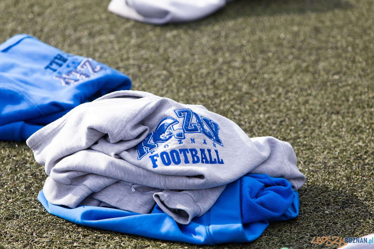 Kozły Poznań - Panthers Wrocław Foto: lepszyPOZNAN.pl / Piotr Rychter Kozły Poznań - Panthers Wrocław Foto: lepszyPOZNAN.pl / Piotr Rychter