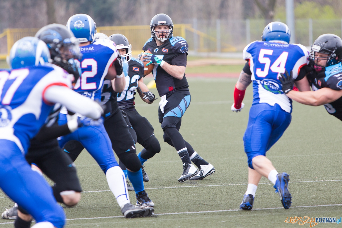 Kozły Poznań - Panthers Wrocław Foto: lepszyPOZNAN.pl / Piotr Rychter Kozły Poznań - Panthers Wrocław Foto: lepszyPOZNAN.pl / Piotr Rychter