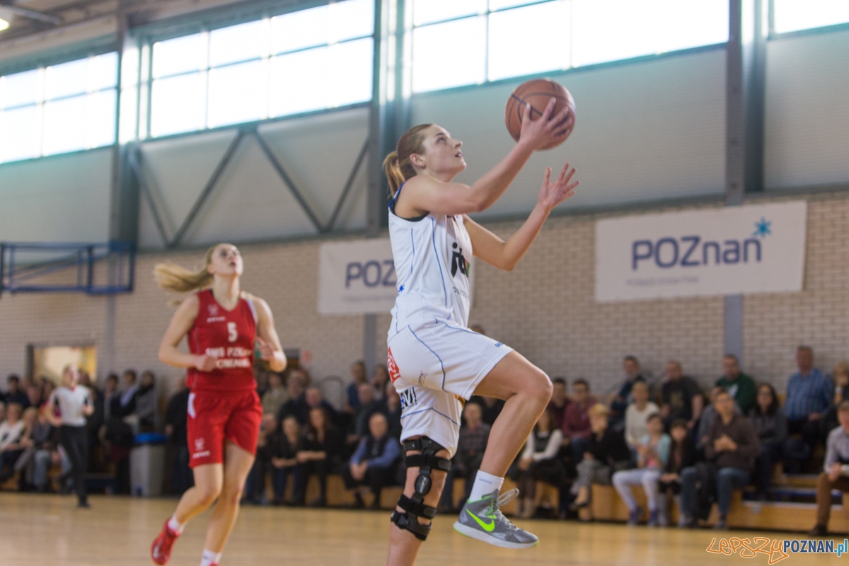 JTC Muks Poznań - SMS PZKosz Łomianki Foto: lepszyPOZNAN.pl / Piotr Rychter JTC Muks Poznań - SMS PZKosz Łomianki Foto: lepszyPOZNAN.pl / Piotr Rychter