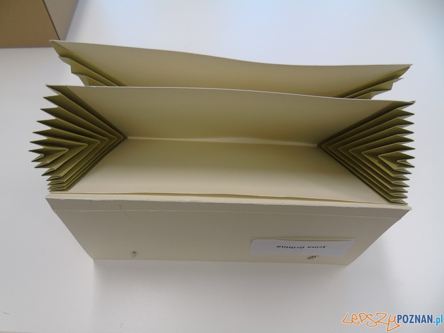 I Miejsce VIP Foto: I Miejsce VIP Foto: