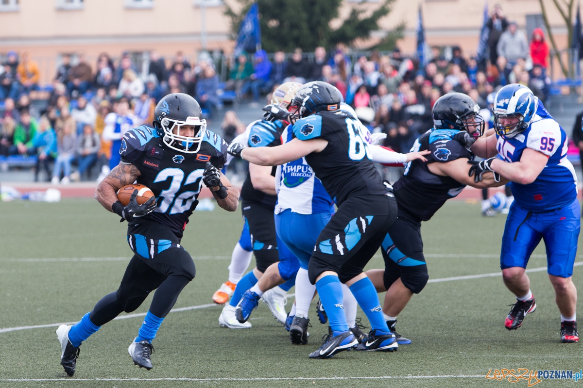 Kozły Poznań - Panthers Wrocław Foto: lepszyPOZNAN.pl / Piotr Rychter Kozły Poznań - Panthers Wrocław Foto: lepszyPOZNAN.pl / Piotr Rychter