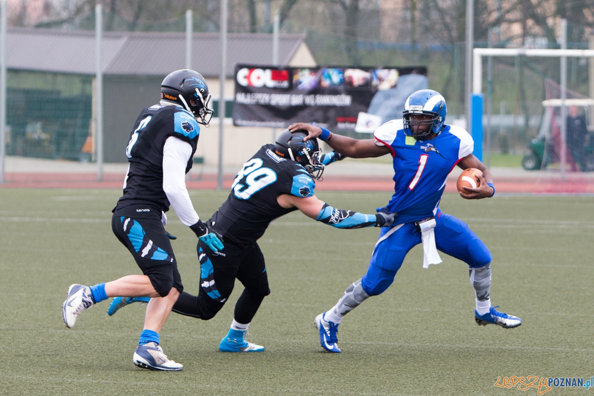 Kozły Poznań - Panthers Wrocław Foto: lepszyPOZNAN.pl / Piotr Rychter Kozły Poznań - Panthers Wrocław Foto: lepszyPOZNAN.pl / Piotr Rychter