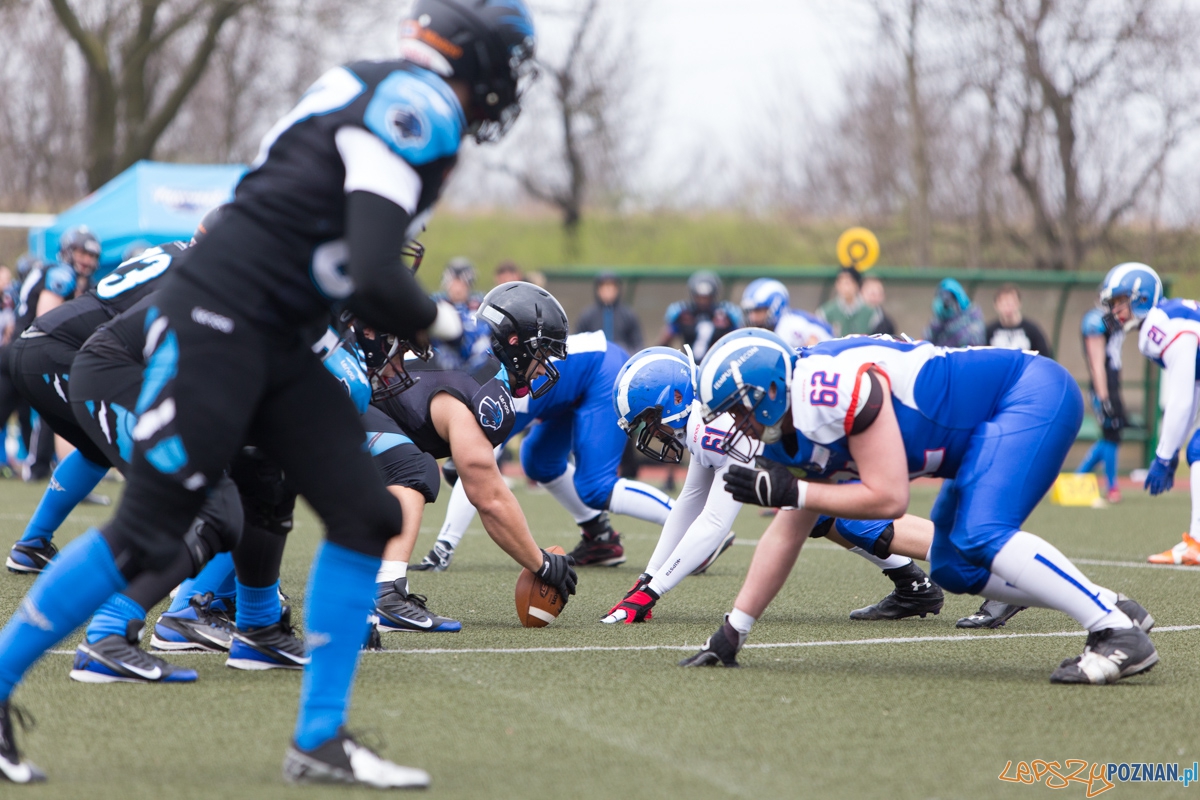 Kozły Poznań - Panthers Wrocław Foto: lepszyPOZNAN.pl / Piotr Rychter Kozły Poznań - Panthers Wrocław Foto: lepszyPOZNAN.pl / Piotr Rychter
