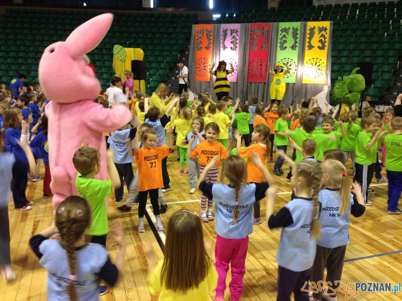 Sporotwy Zajączek w Arenie Foto: POSiR Sporotwy Zajączek w Arenie Foto: POSiR