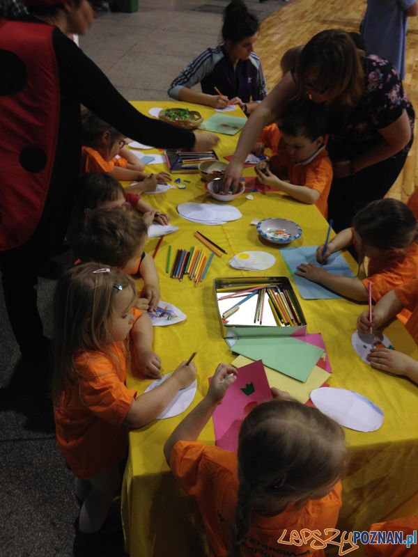 Sportowy zajączek dla dzieci Foto: POSiR Sportowy zajączek dla dzieci Foto: POSiR