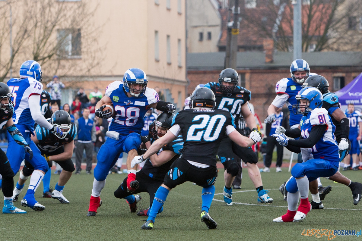 Kozły Poznań - Panthers Wrocław Foto: lepszyPOZNAN.pl / Piotr Rychter Kozły Poznań - Panthers Wrocław Foto: lepszyPOZNAN.pl / Piotr Rychter