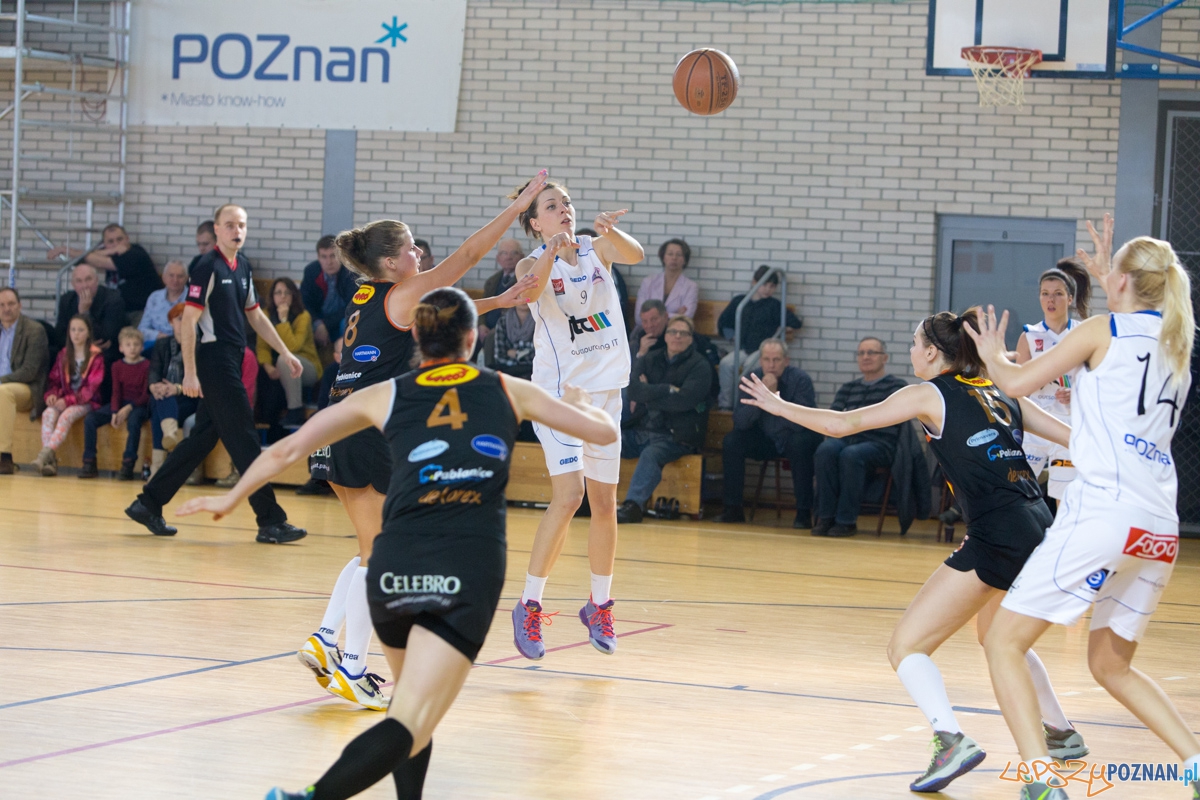 JTC Muks Poznań - Grot Dekorex Pabianice Foto: lepszyPOZNAN.pl / Piotr Rychter JTC Muks Poznań - Grot Dekorex Pabianice Foto: lepszyPOZNAN.pl / Piotr Rychter