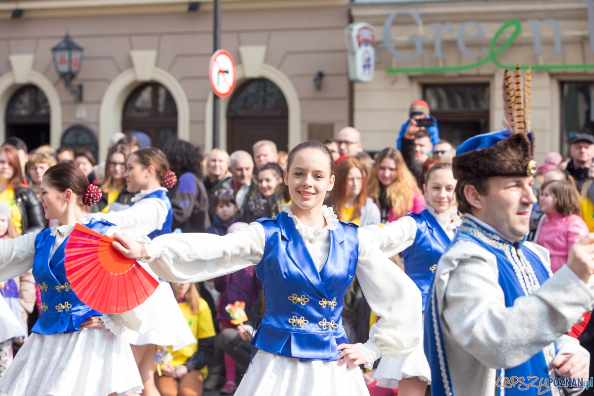 Dzień Motyli Foto: lepszyPOZNAN.pl / Piotr Rychter Dzień Motyli Foto: lepszyPOZNAN.pl / Piotr Rychter