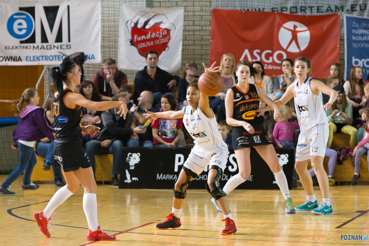 JTC Muks Poznań - Grot Dekorex Pabianice Foto: lepszyPOZNAN.pl / Piotr Rychter JTC Muks Poznań - Grot Dekorex Pabianice Foto: lepszyPOZNAN.pl / Piotr Rychter