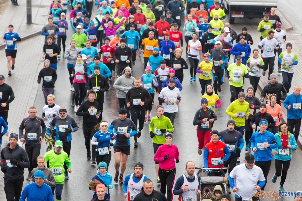 XI Maniacka dziesiątka Foto: lepszyPOZNAN.pl / Piotr Rychter XI Maniacka dziesiątka Foto: lepszyPOZNAN.pl / Piotr Rychter