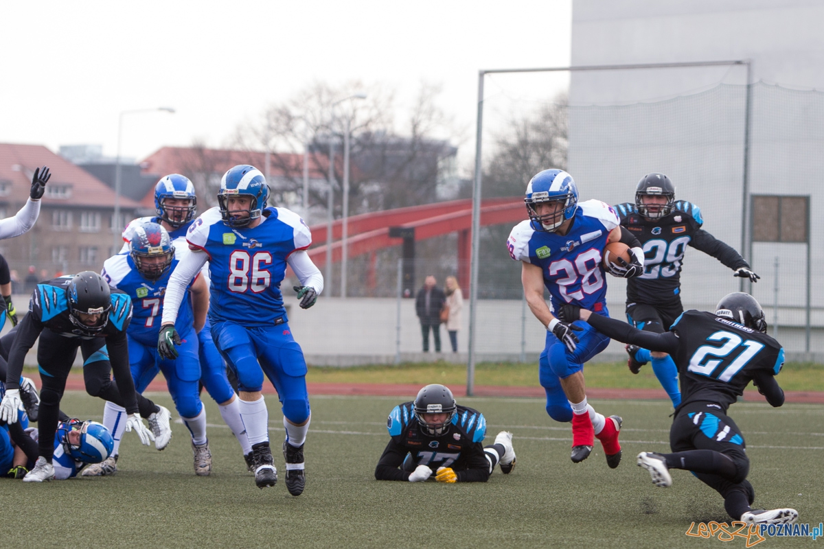 Kozły Poznań - Panthers Wrocław Foto: lepszyPOZNAN.pl / Piotr Rychter Kozły Poznań - Panthers Wrocław Foto: lepszyPOZNAN.pl / Piotr Rychter