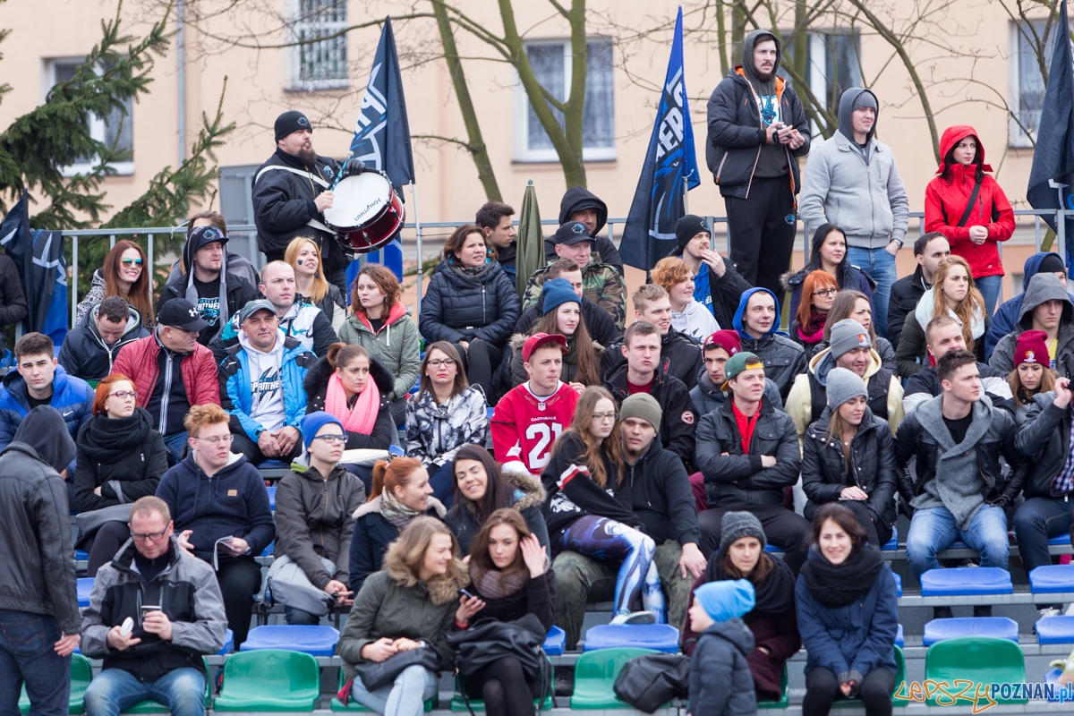 Kozły Poznań - Panthers Wrocław Foto: lepszyPOZNAN.pl / Piotr Rychter Kozły Poznań - Panthers Wrocław Foto: lepszyPOZNAN.pl / Piotr Rychter