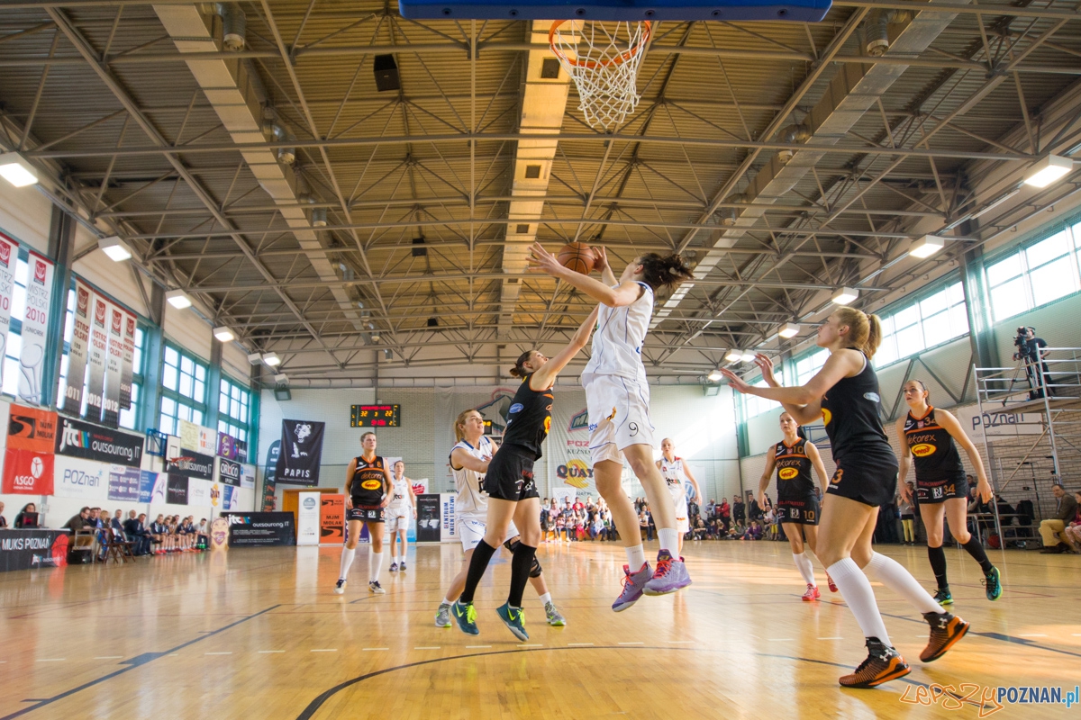 JTC Muks Poznań - Grot Dekorex Pabianice Foto: lepszyPOZNAN.pl / Piotr Rychter JTC Muks Poznań - Grot Dekorex Pabianice Foto: lepszyPOZNAN.pl / Piotr Rychter