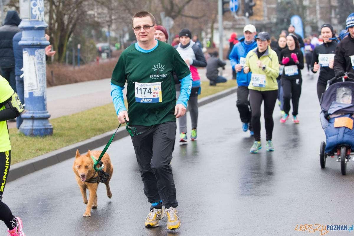 XI Maniacka dziesiątka Foto: lepszyPOZNAN.pl / Piotr Rychter XI Maniacka dziesiątka Foto: lepszyPOZNAN.pl / Piotr Rychter