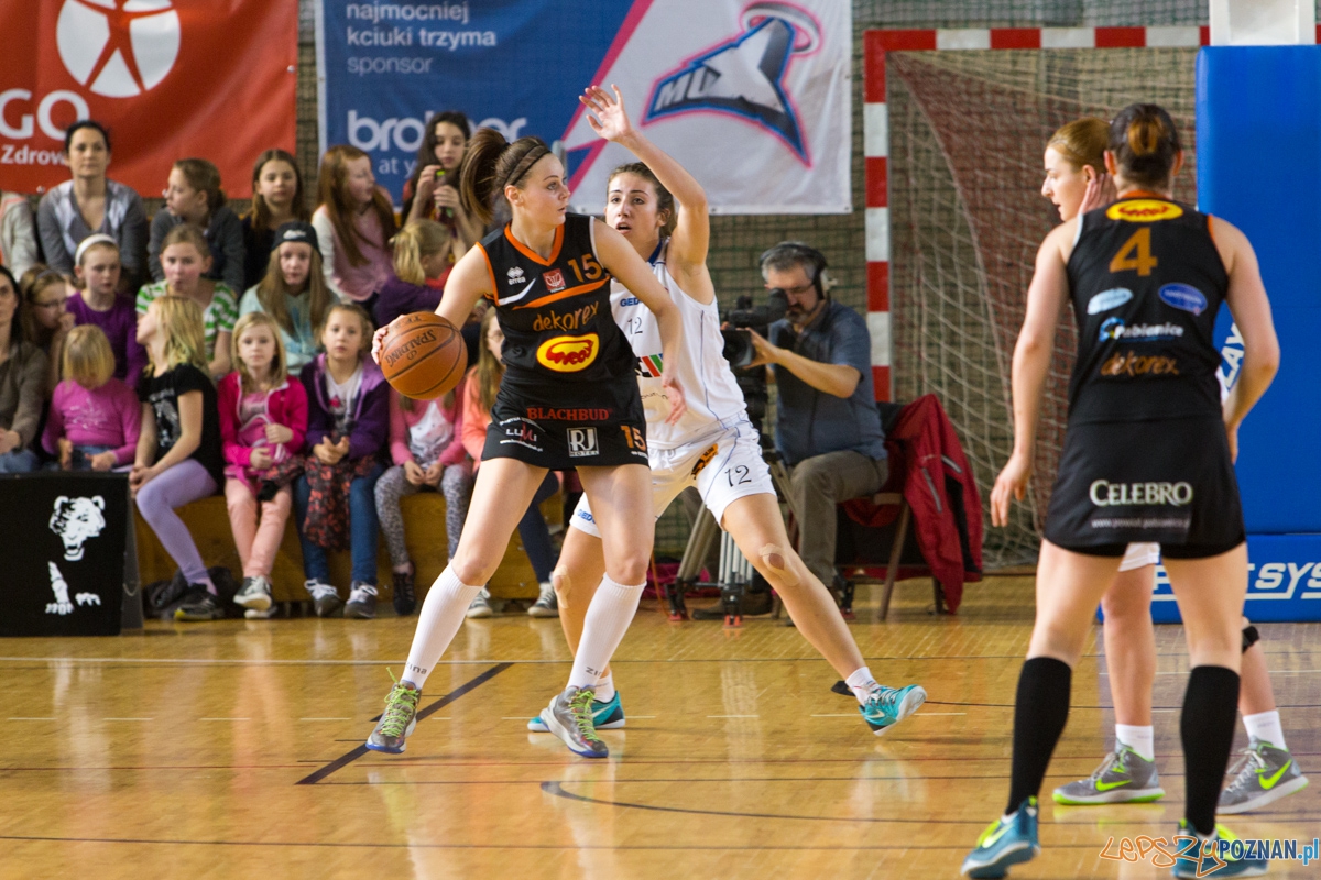 JTC Muks Poznań - Grot Dekorex Pabianice Foto: lepszyPOZNAN.pl / Piotr Rychter JTC Muks Poznań - Grot Dekorex Pabianice Foto: lepszyPOZNAN.pl / Piotr Rychter