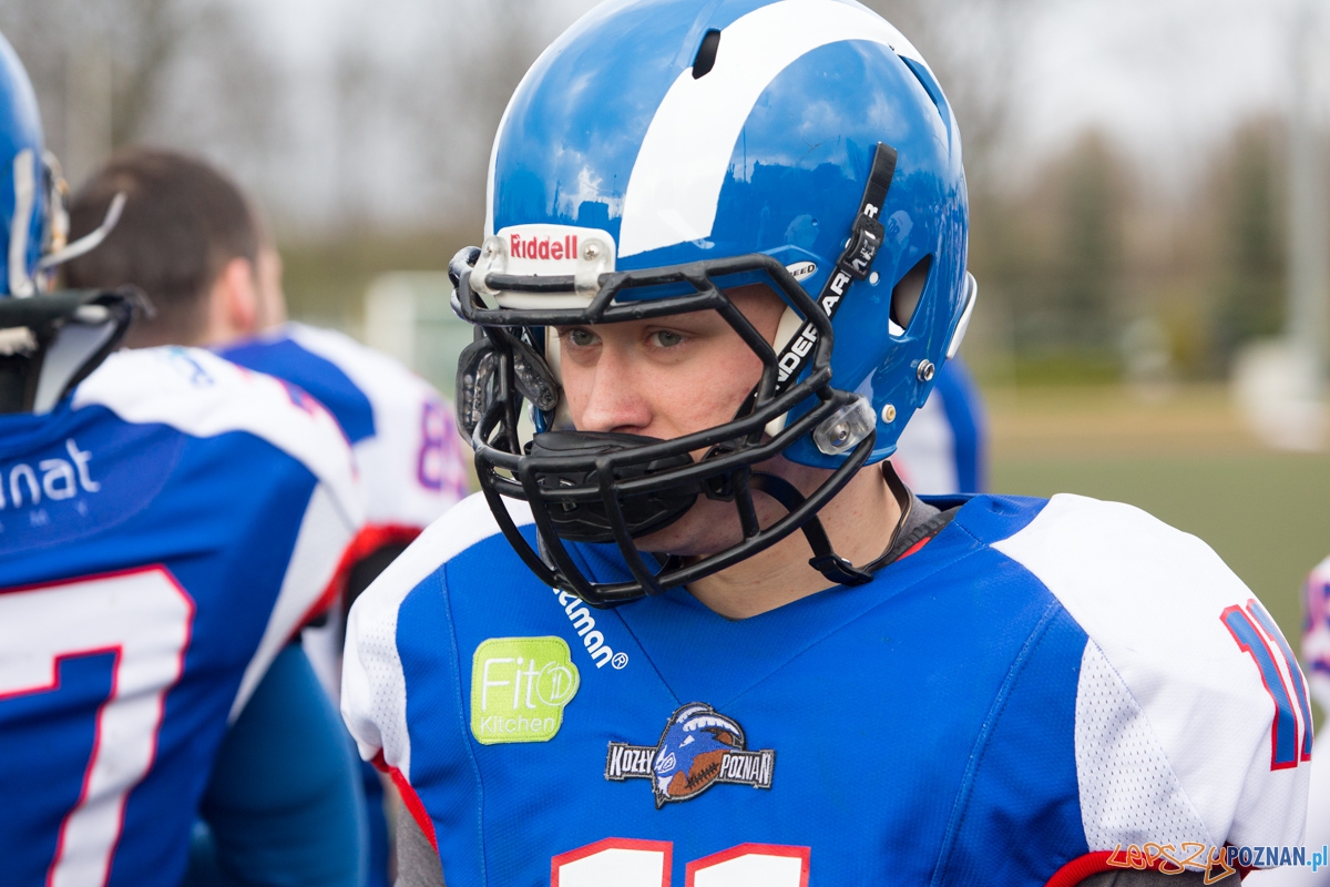 Kozły Poznań - Panthers Wrocław Foto: lepszyPOZNAN.pl / Piotr Rychter Kozły Poznań - Panthers Wrocław Foto: lepszyPOZNAN.pl / Piotr Rychter