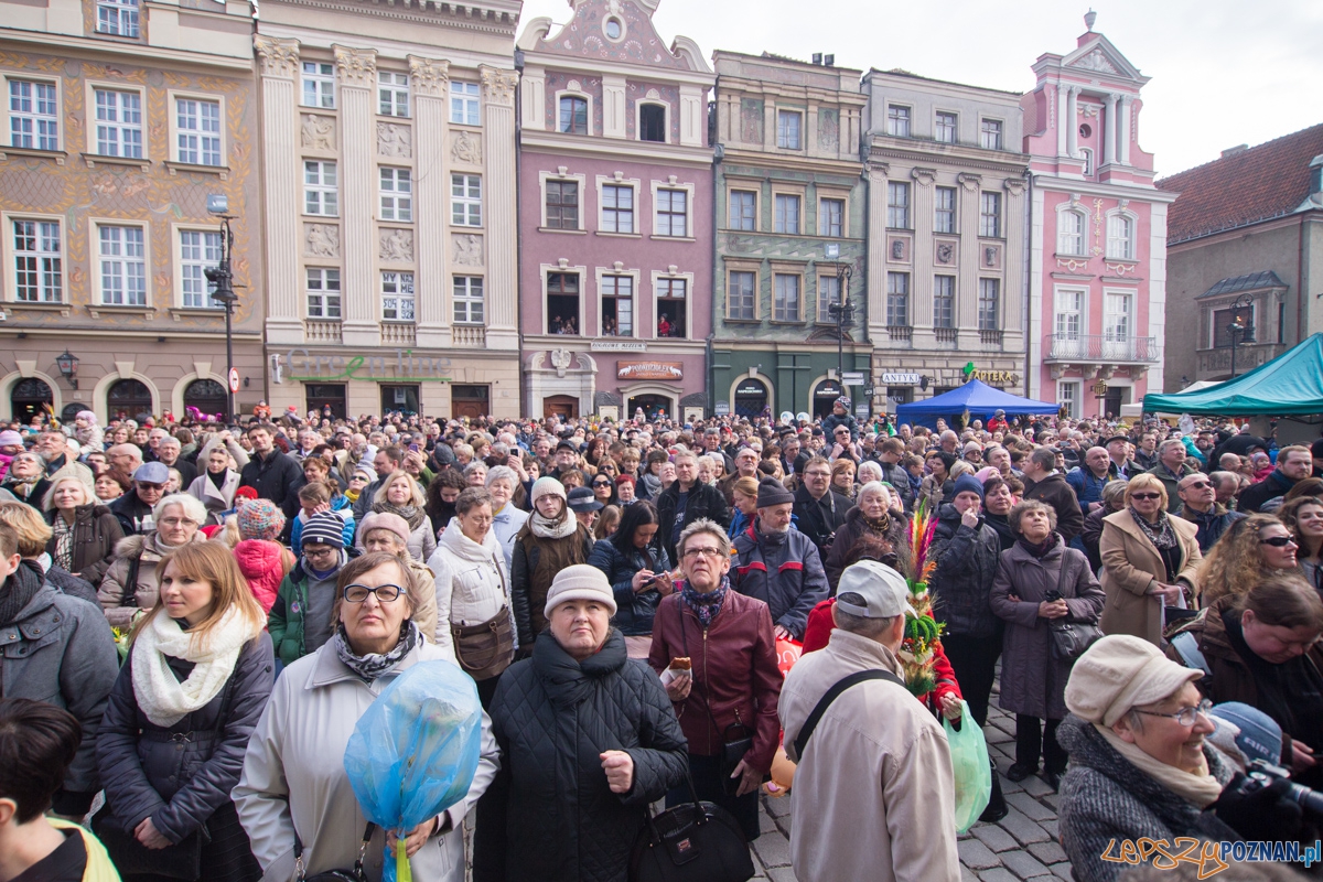 XXII Poznański Kaziuk Foto: lepszyPOZNAN.pl / Piotr Rychter XXII Poznański Kaziuk Foto: lepszyPOZNAN.pl / Piotr Rychter