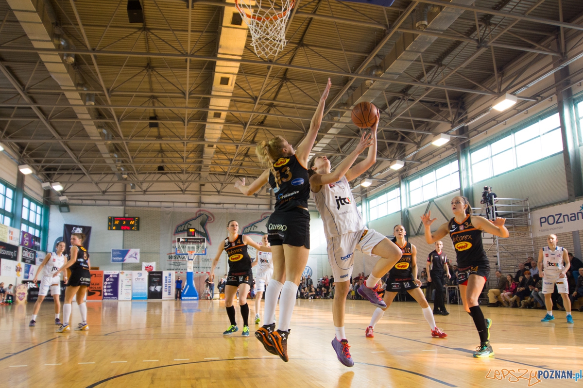 JTC Muks Poznań - Grot Dekorex Pabianice Foto: lepszyPOZNAN.pl / Piotr Rychter JTC Muks Poznań - Grot Dekorex Pabianice Foto: lepszyPOZNAN.pl / Piotr Rychter