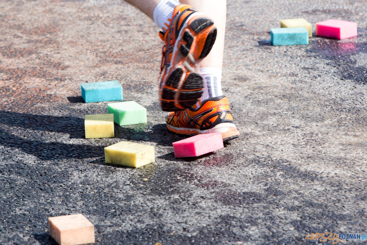 8 Poznań Półmaraton Foto: lepszyPOZNAN.pl / Piotr Rychter 8 Poznań Półmaraton Foto: lepszyPOZNAN.pl / Piotr Rychter