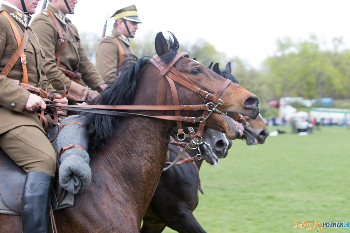 XXX Dni Ułana Foto: lepszyPOZNAN.pl / Piotr Rychter XXX Dni Ułana Foto: lepszyPOZNAN.pl / Piotr Rychter