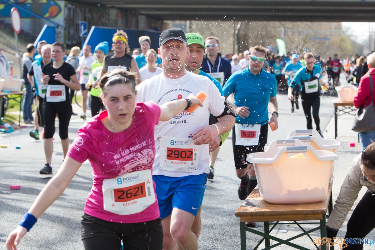 8 Poznań Półmaraton Foto: lepszyPOZNAN.pl / Piotr Rychter 8 Poznań Półmaraton Foto: lepszyPOZNAN.pl / Piotr Rychter