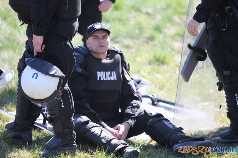 Policyjne konie zdawały egzamin bojowy Foto: KW Policji w Poznaniu Policyjne konie zdawały egzamin bojowy Foto: KW Policji w Poznaniu