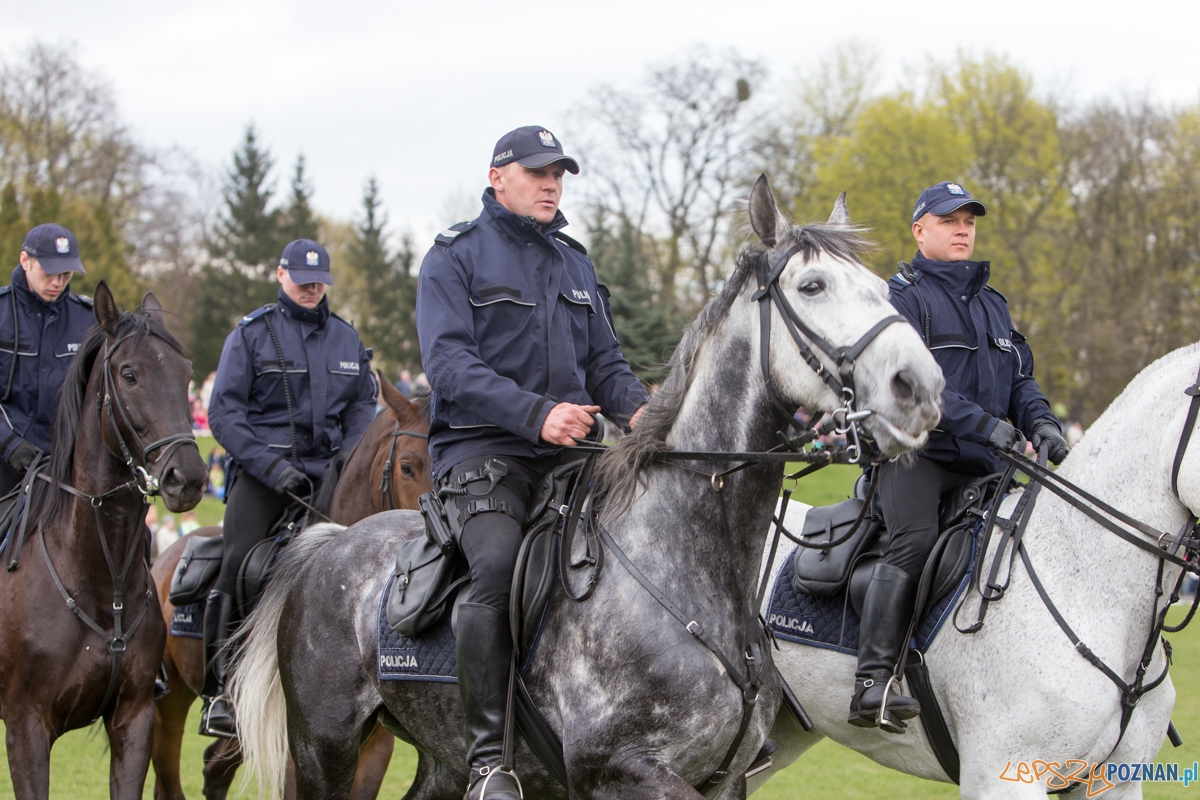 XXX Dni Ułana Foto: lepszyPOZNAN.pl / Piotr Rychter XXX Dni Ułana Foto: lepszyPOZNAN.pl / Piotr Rychter