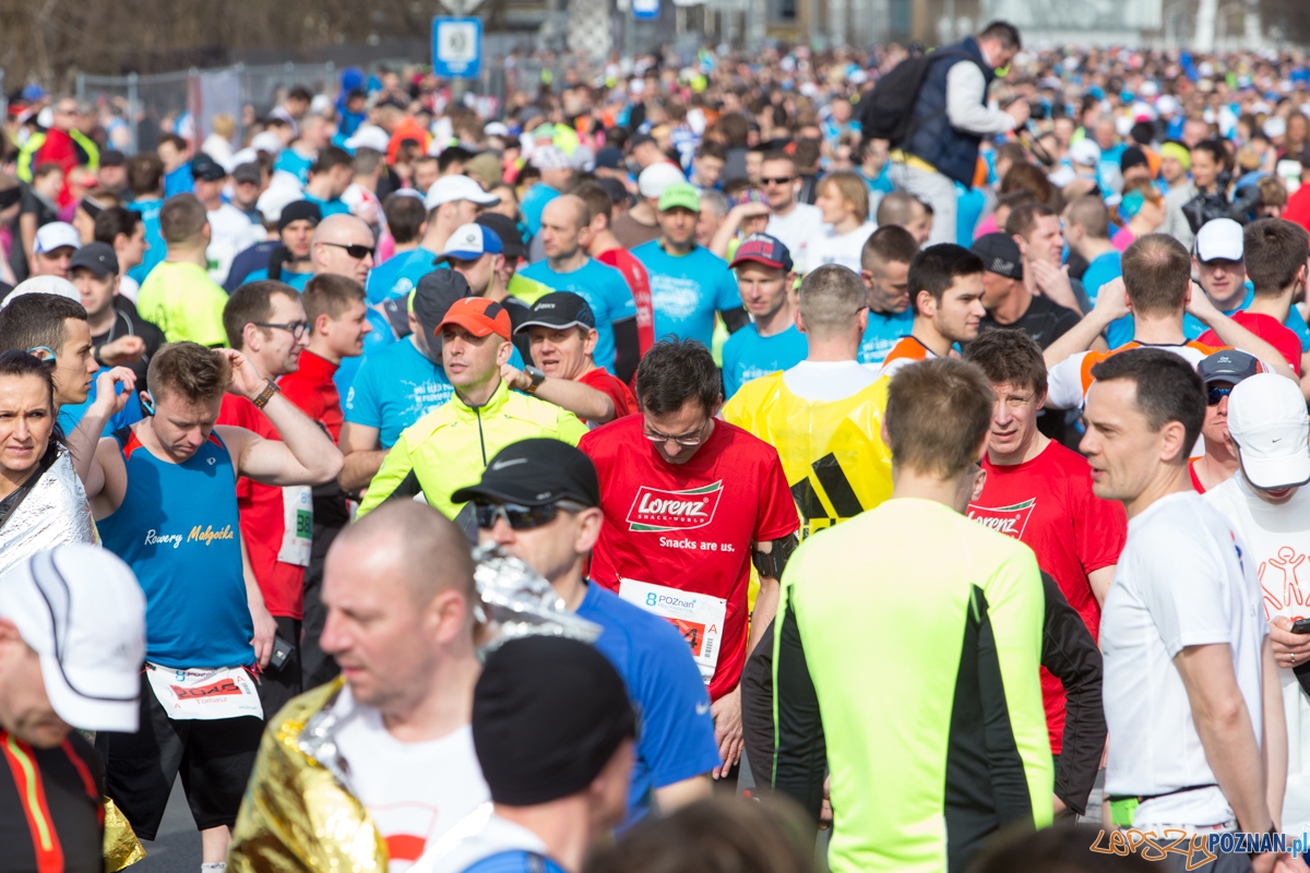 8 Poznań Półmaraton Foto: lepszyPOZNAN.pl / Piotr Rychter 8 Poznań Półmaraton Foto: lepszyPOZNAN.pl / Piotr Rychter