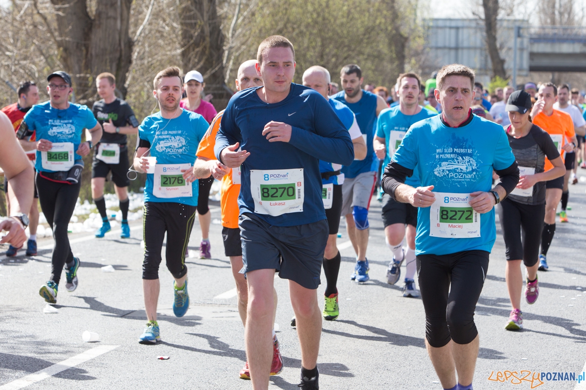 8 Poznań Półmaraton Foto: lepszyPOZNAN.pl / Piotr Rychter 8 Poznań Półmaraton Foto: lepszyPOZNAN.pl / Piotr Rychter