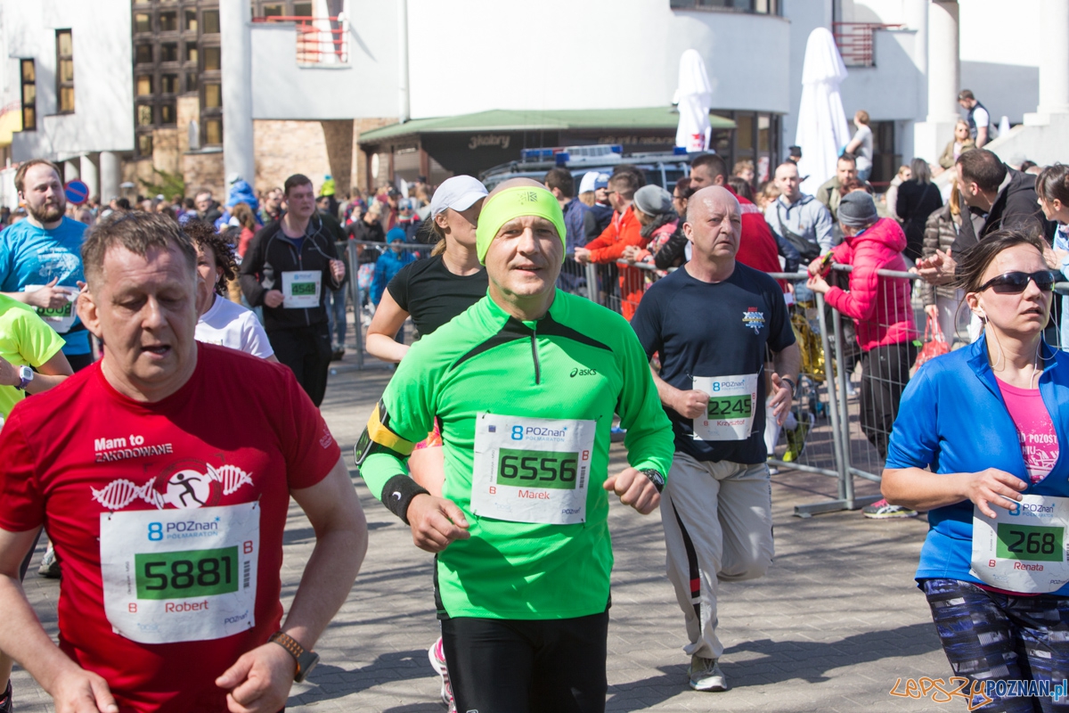 8 Poznań Półmaraton Foto: lepszyPOZNAN.pl / Piotr Rychter 8 Poznań Półmaraton Foto: lepszyPOZNAN.pl / Piotr Rychter