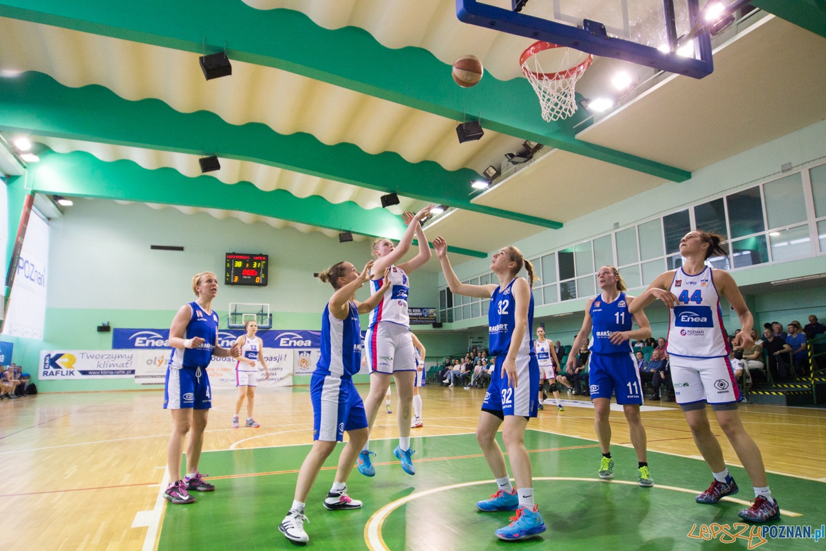 Enea AZS Poznań - AZS Politechnika Korona Kraków Foto: lepszyPOZNAN.pl / Piotr Rychter Enea AZS Poznań - AZS Politechnika Korona Kraków Foto: lepszyPOZNAN.pl / Piotr Rychter
