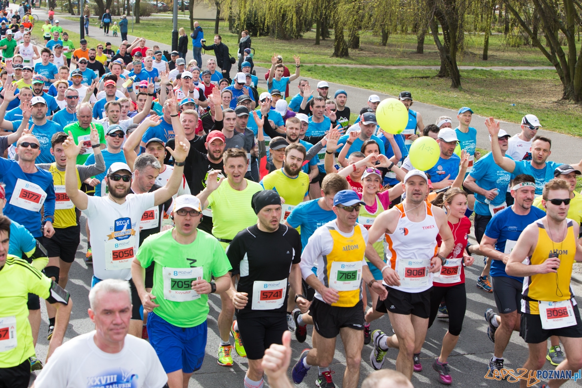 8 Poznań Półmaraton Foto: lepszyPOZNAN.pl / Piotr Rychter 8 Poznań Półmaraton Foto: lepszyPOZNAN.pl / Piotr Rychter