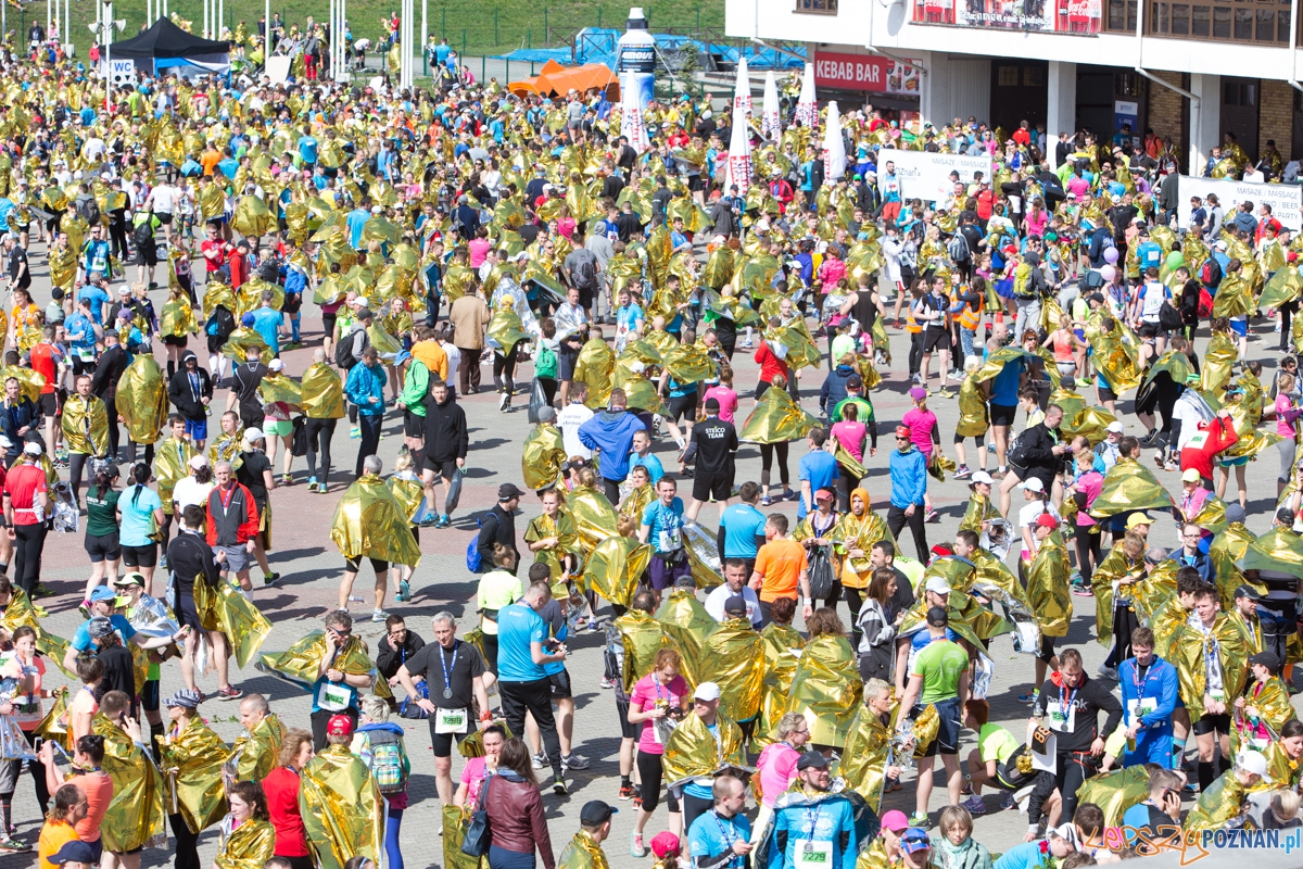 8 PoznaÅ PóÅmaraton Foto: lepszyPOZNAN.pl / Piotr Rychter 8 PoznaÅ PóÅmaraton Foto: lepszyPOZNAN.pl / Piotr Rychter