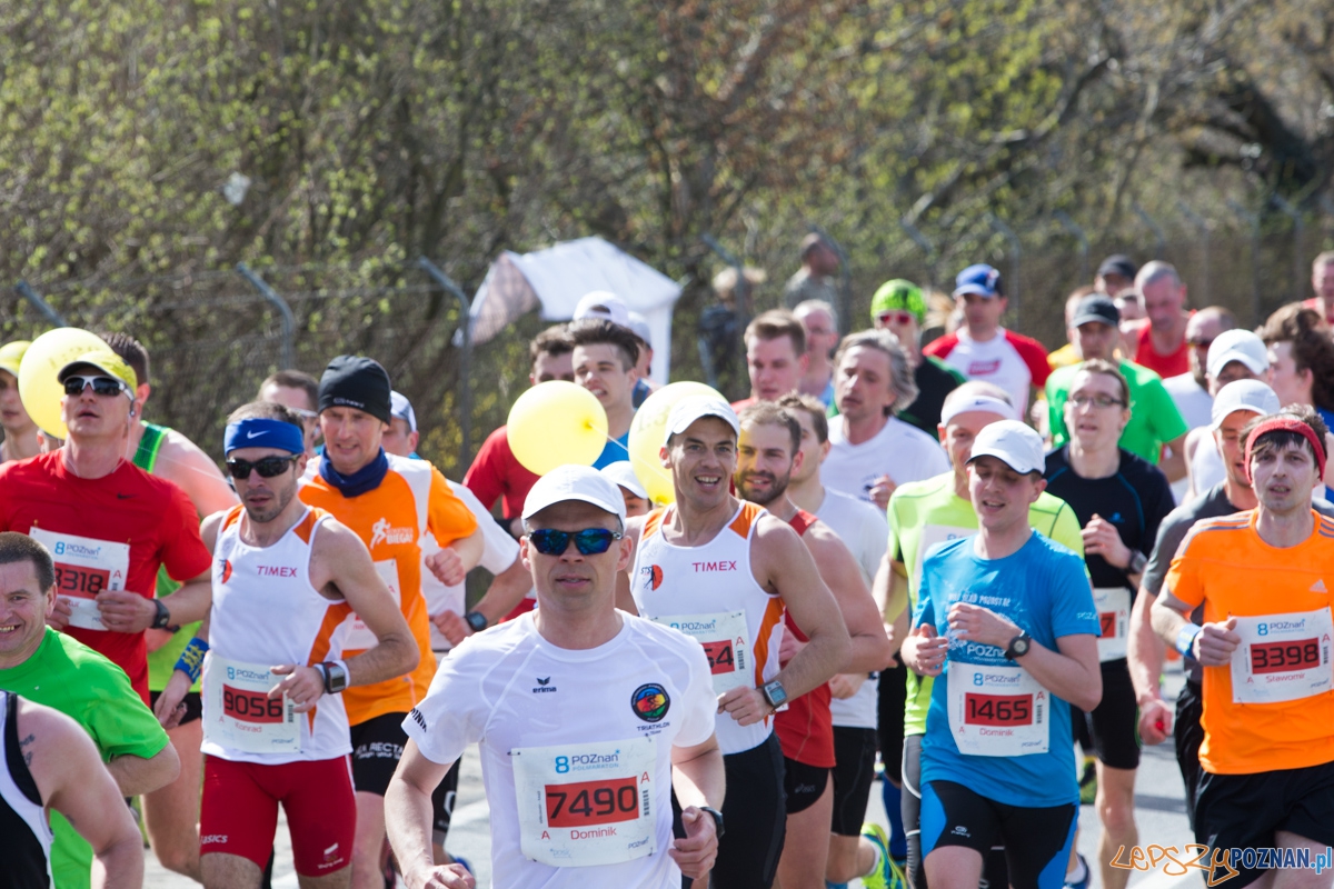 8 Poznań Półmaraton Foto: lepszyPOZNAN.pl / Piotr Rychter 8 Poznań Półmaraton Foto: lepszyPOZNAN.pl / Piotr Rychter