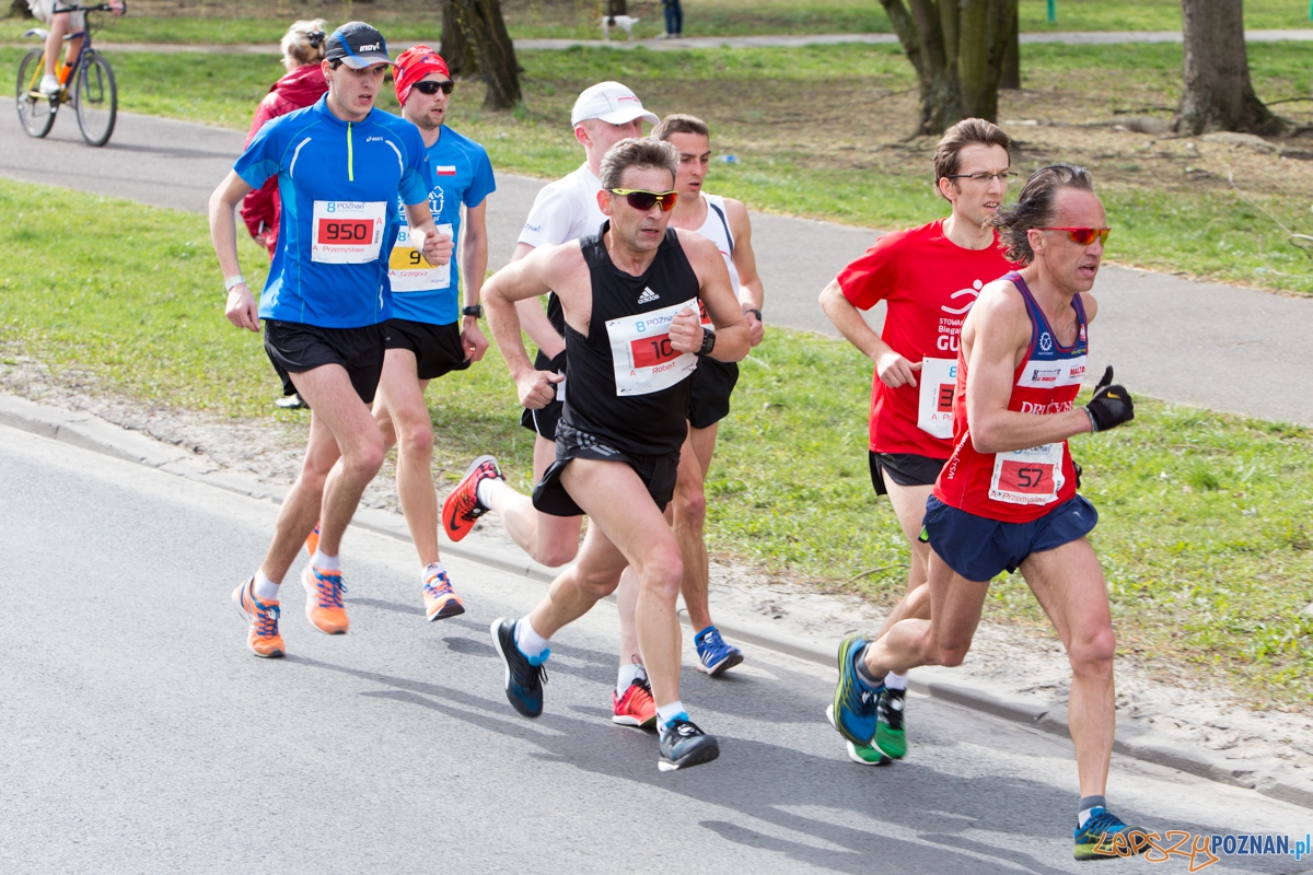 8 Poznań Półmaraton Foto: lepszyPOZNAN.pl / Piotr Rychter 8 Poznań Półmaraton Foto: lepszyPOZNAN.pl / Piotr Rychter