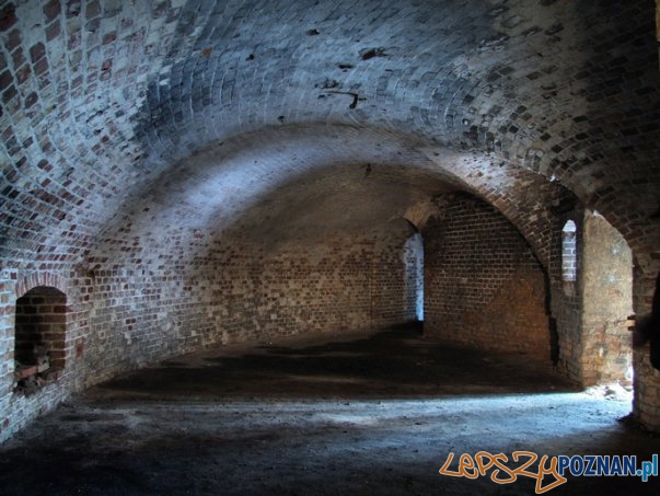 Fort Va Foto: materiały prasowe Fort Va Foto: materiały prasowe