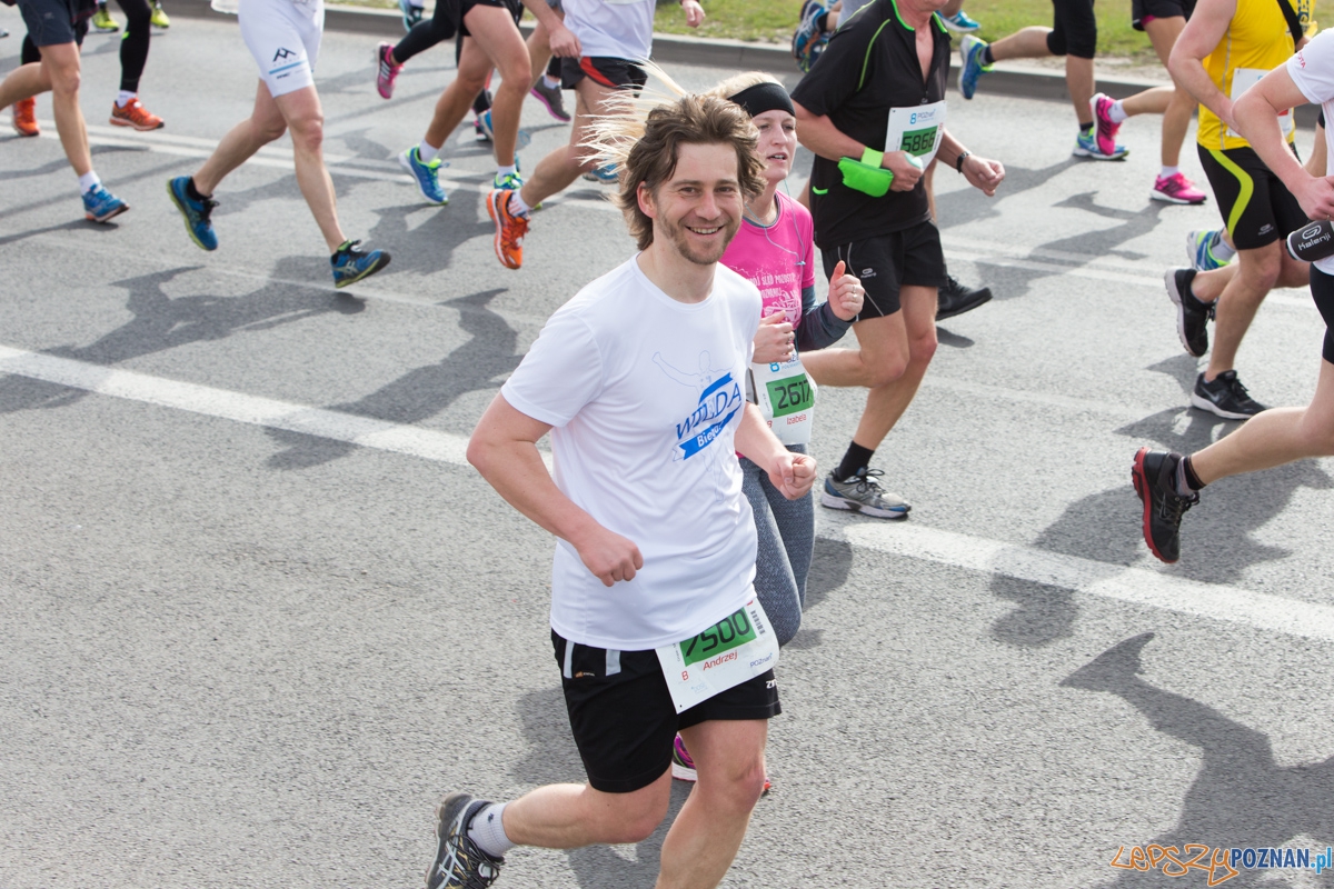 8 Poznań Półmaraton Foto: lepszyPOZNAN.pl / Piotr Rychter 8 Poznań Półmaraton Foto: lepszyPOZNAN.pl / Piotr Rychter