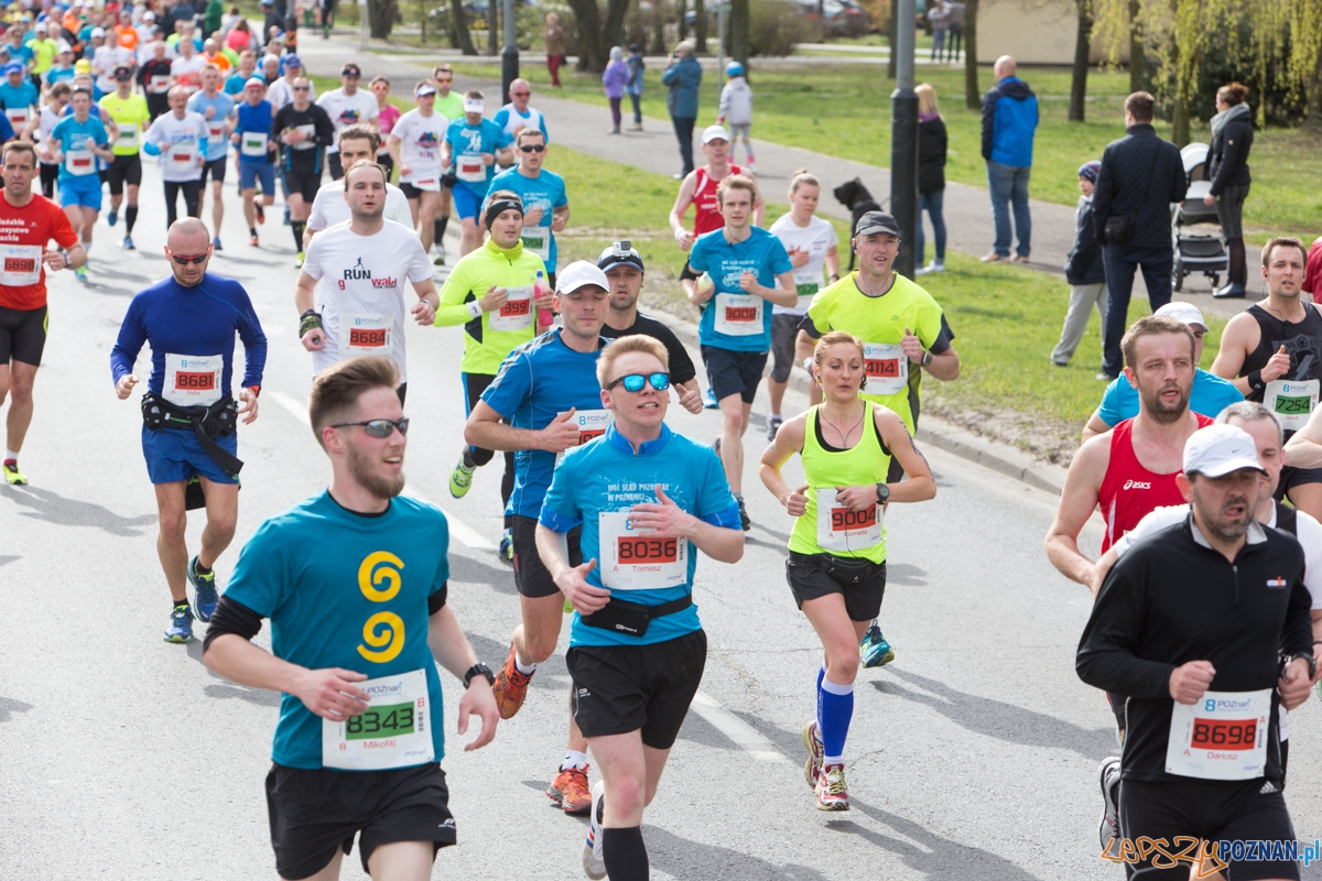8 Poznań Półmaraton Foto: lepszyPOZNAN.pl / Piotr Rychter 8 Poznań Półmaraton Foto: lepszyPOZNAN.pl / Piotr Rychter