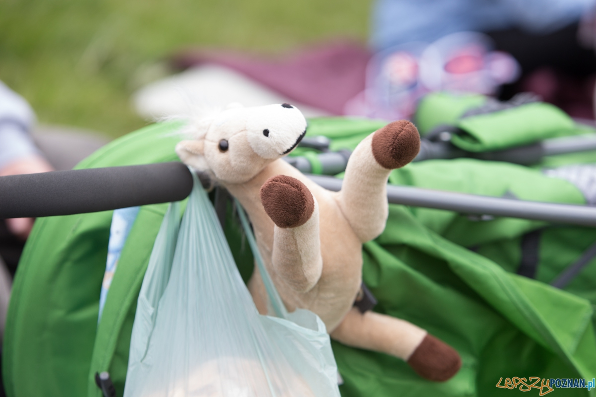XXX Dni Ułana Foto: lepszyPOZNAN.pl / Piotr Rychter XXX Dni Ułana Foto: lepszyPOZNAN.pl / Piotr Rychter