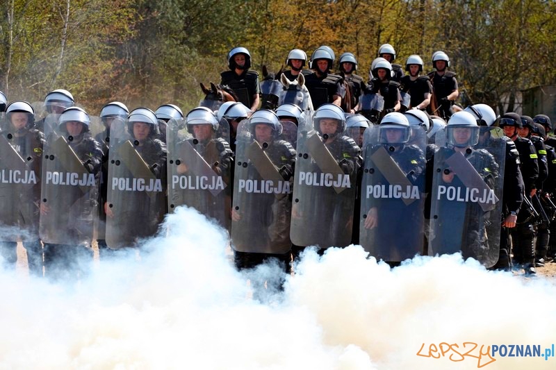 Policyjne konie zdawały egzamin bojowy Foto: KW Policji w Poznaniu Policyjne konie zdawały egzamin bojowy Foto: KW Policji w Poznaniu