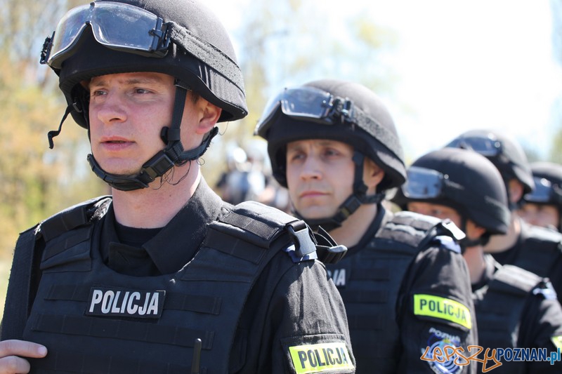 Policyjne konie zdawały egzamin bojowy Foto: KW Policji w Poznaniu Policyjne konie zdawały egzamin bojowy Foto: KW Policji w Poznaniu