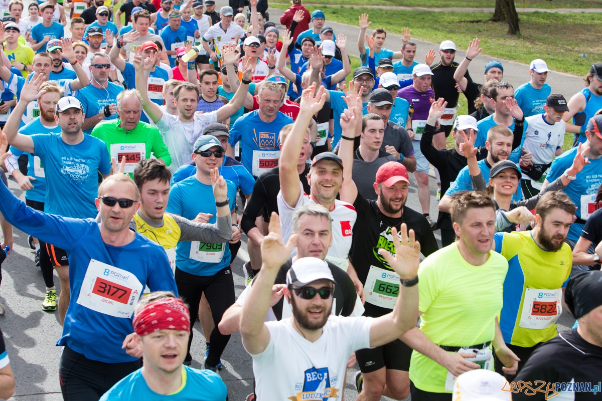 8 Poznań Półmaraton Foto: lepszyPOZNAN.pl / Piotr Rychter 8 Poznań Półmaraton Foto: lepszyPOZNAN.pl / Piotr Rychter
