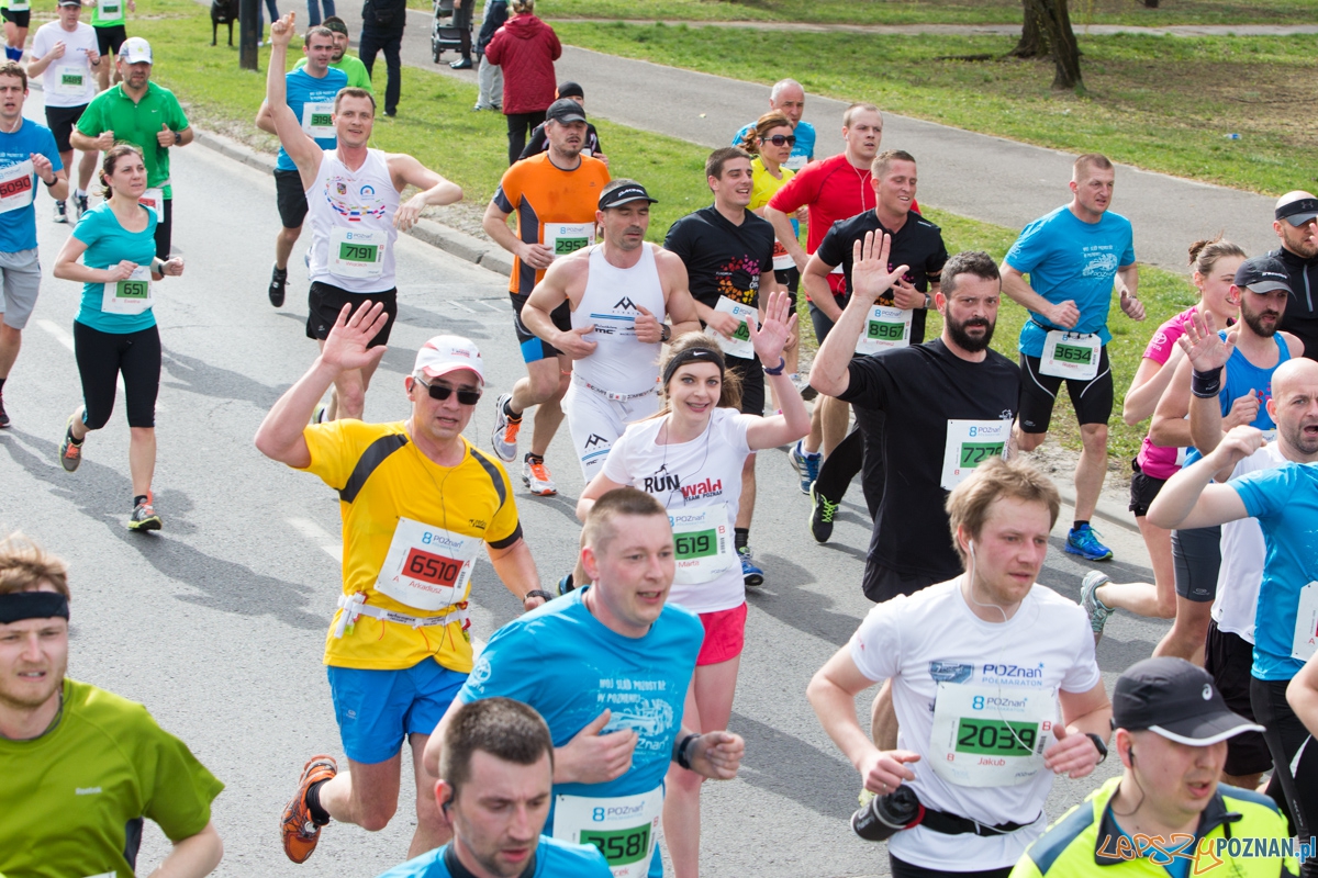 8 Poznań Półmaraton Foto: lepszyPOZNAN.pl / Piotr Rychter 8 Poznań Półmaraton Foto: lepszyPOZNAN.pl / Piotr Rychter