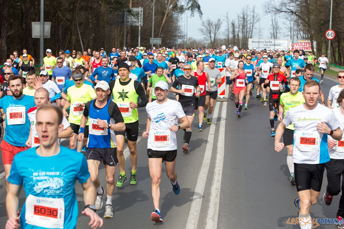 8 Poznań Półmaraton Foto: lepszyPOZNAN.pl / Piotr Rychter 8 Poznań Półmaraton Foto: lepszyPOZNAN.pl / Piotr Rychter